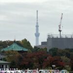 不忍池の紅葉とスカイツリーが見える秋の風景