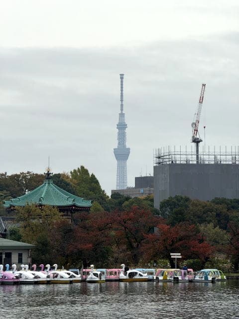 紅葉した不忍池の木々とスカイツリーの景色